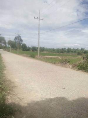 ขายที่ดิน 3ไร่ ถนนสายบ้านหัวเกาะ-บ้านหนองกรด โคกช้าง สุพรรณบุรี