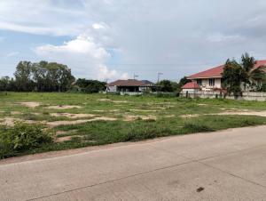 ขายที่ดิน 5 ไร่ ทำเลดี ติดถนน บ้านกอกน้อย–โคกฟันโปง บ้านเป็ด อ.เมืองขอนแก่น