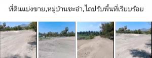 ขายด่วนที่ดิน 2  -2- 83 ไร่